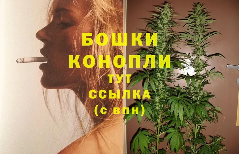 Бошки марихуана SATIVA & INDICA  kraken как войти  Ленск 